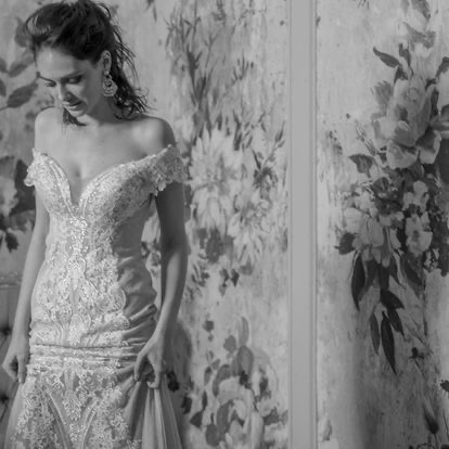 哈里森潔娜2017上海展新品發表會